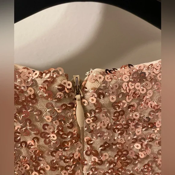 Belle Badgley Mischka Rose Gold Sequin Gown - Picture 10 of 11